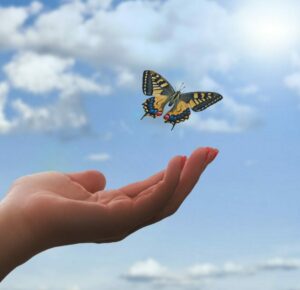 Mariposa alzando el vuelo desde una mano, símbolo de transformación y libertad tras la adicción.